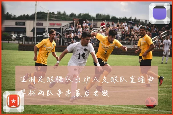亚洲足球强队出炉八支球队直通世界杯两队争夺最后名额