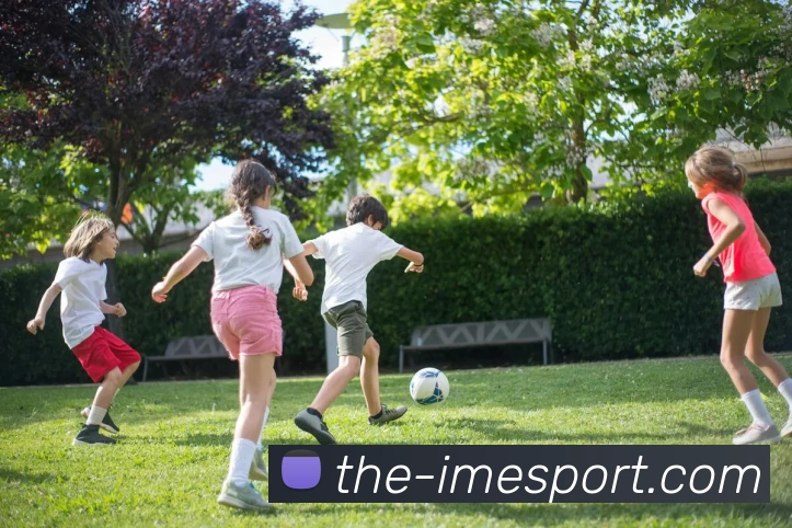 多媒体互动体验